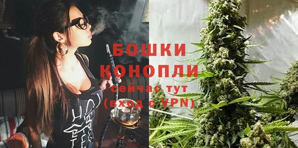 бошки Новозыбков