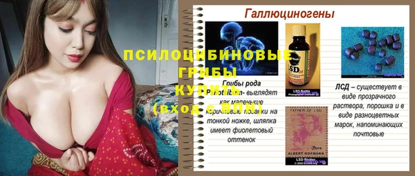 PSILOCYBIN Алапаевск