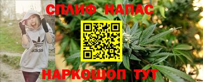 дурь Гагарин