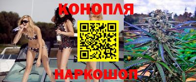 гашик Гай