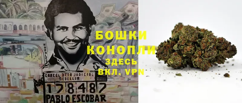 Каннабис OG Kush  Изобильный 